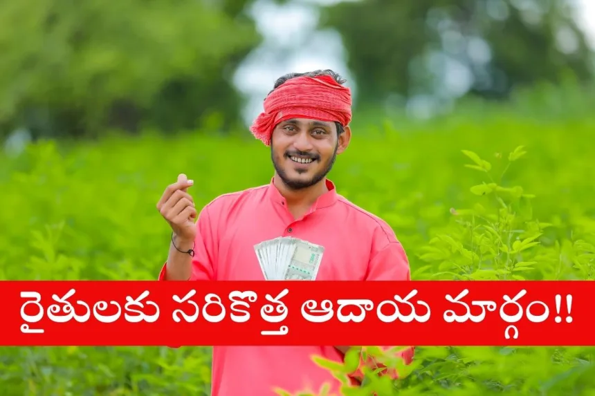 Farmer planting drumstick, neem, and pongamia trees near paddy fields in 2025