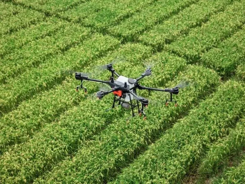 Andhra Pradesh government distributing drones to farmers with 80% subsidy, June 2025.
