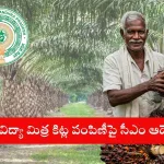 Farmer tending to oil palm plantation in Coastal Andhra with subsidy support in 2025