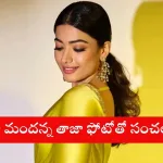 Geetha Govindam pair