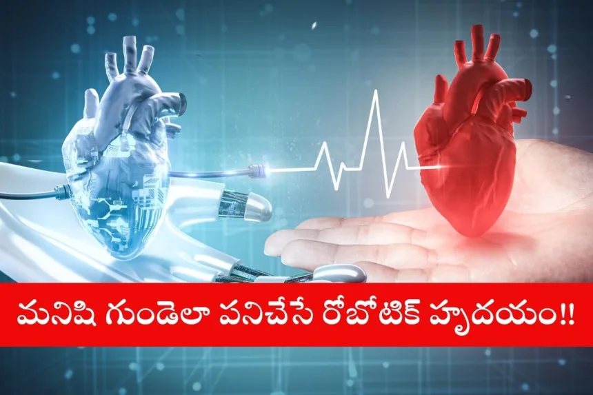 Soft robotic heart developed by MIT and Amsterdam scientists mimicking human heart in 2025