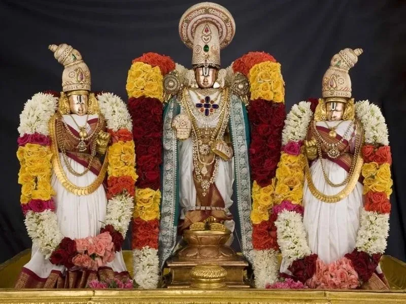 Tirumala Laddu prasadam, a divine offering prepared daily for devotees at Tirupati Temple in 2025.