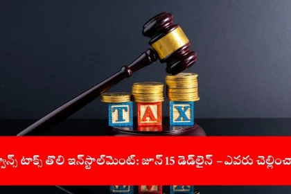 taxpayer paying advance tax online on laptop, India 2025
