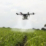 Farmer operating a drone for pesticide spraying under AP’s 80% subsidy scheme in 2025.