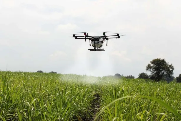 Farmer operating a drone for pesticide spraying under AP’s 80% subsidy scheme in 2025.