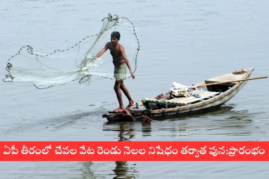 Andhra Pradesh fishermen preparing boats for fishing resumption after a two-month ban, June 15, 2025.