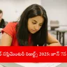 student checking AP Inter Supplementary Results 2025 on smartphone, India 2025