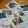 Andhra Pradesh government officials conducting statewide survey for new ration cards in 2025, ensuring PDS transparency.