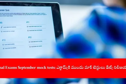 CA student preparing for CA Final September 2025 mock tests online, India 2025