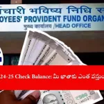 user checking EPF interest 2024-25 balance online, India 2025