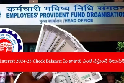 user checking EPF interest 2024-25 balance online, India 2025