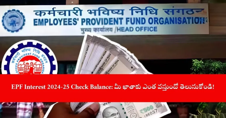 user checking EPF interest 2024-25 balance online, India 2025