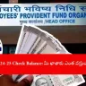 user checking EPF interest 2024-25 balance online, India 2025