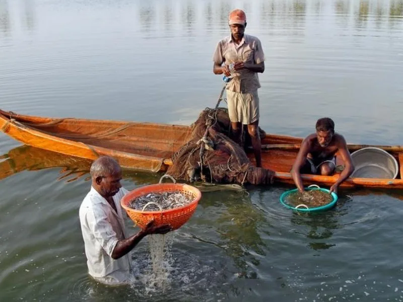 Fishermen performing Gangamma puja before resuming fishing activities in Andhra Pradesh, June 2025.