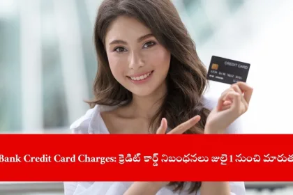 cardholder checking HDFC Bank credit card charges online, India 2025