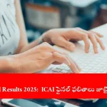 candidate checking ICAI CA Final Results 2025 online, India 2025