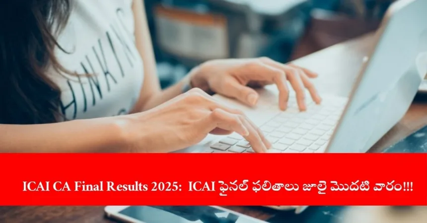 candidate checking ICAI CA Final Results 2025 online, India 2025