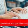 candidate checking ICAI CA Final Results 2025 online, India 2025
