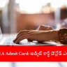 candidate downloading ICAR AIEEA 2025 admit card online, India 2025