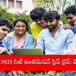 student downloading NEET PG 2025 city intimation slip online, India 2025