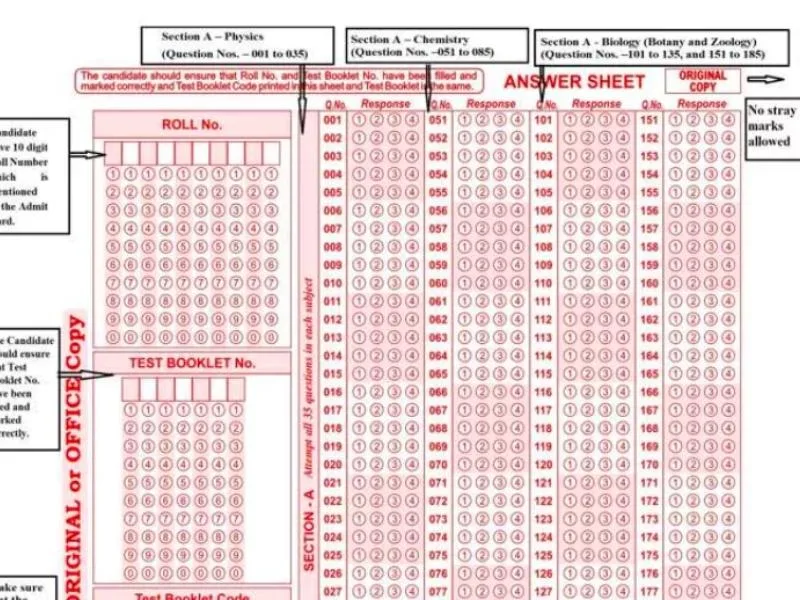 NEET UG 2025 OMR response sheet interface on NTA portal, 2025