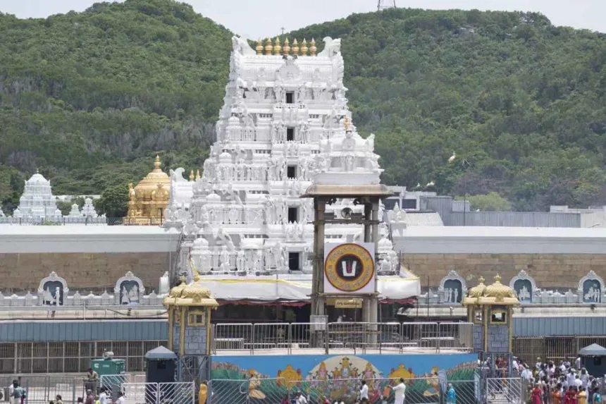 Crowds of devotees waiting in queue for Srivari Sarvadarshanam at Tirumala in 2025.