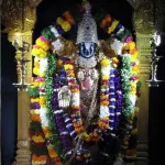 Sri Venkateswara idol at Tirumala Temple, highlighting its divine secrets and spiritual significance in 2025.