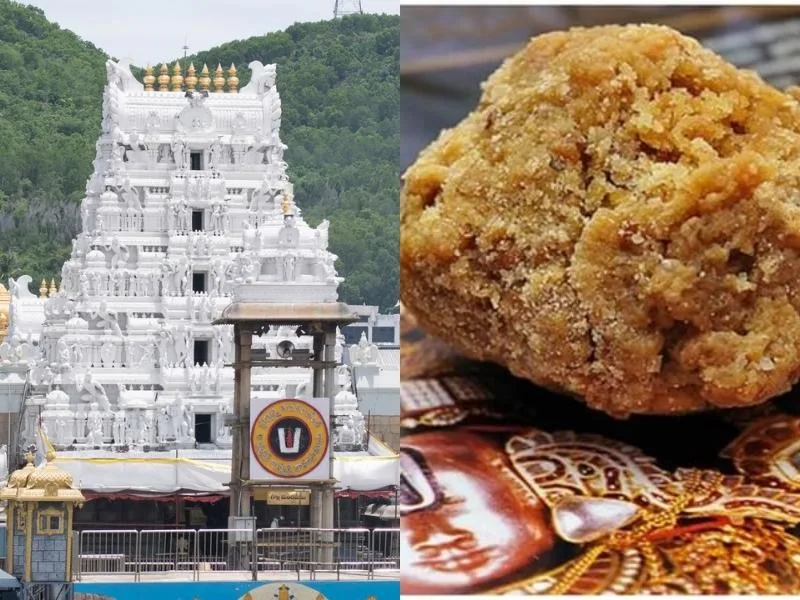 Devotee scanning UPI QR code at Tirumala for queue-free TTD Laddu service in 2025