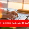 candidate checking TS LAWCET and PGLCET 2025 results online, India 2025