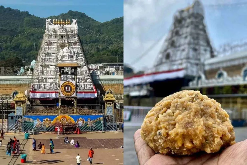 TTD Laddu counter in Tirumala offering queue-free service via UPI payment for devotees in 2025.