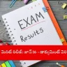 UPSC CAPF 2024 final result scorecard online, India 2025