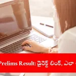 student checking UPSC CSE Prelims 2025 result on laptop, India 2025